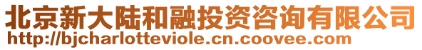北京新大陸和融投資咨詢有限公司