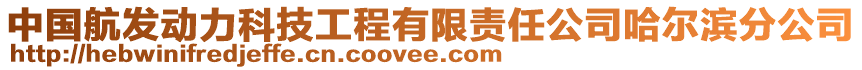 中國(guó)航發(fā)動(dòng)力科技工程有限責(zé)任公司哈爾濱分公司