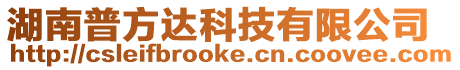 湖南普方達科技有限公司