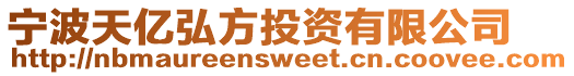 寧波天億弘方投資有限公司