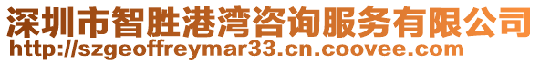 深圳市智勝港灣咨詢服務有限公司