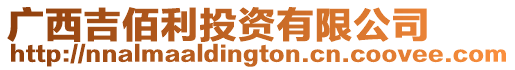 廣西吉佰利投資有限公司
