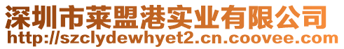 深圳市萊盟港實業有限公司