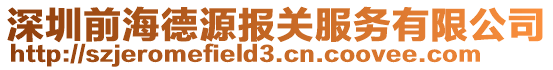 深圳前海德源報關服務有限公司