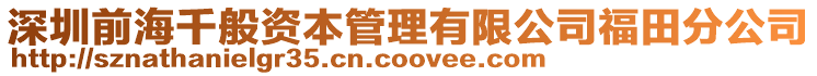 深圳前海千般資本管理有限公司福田分公司