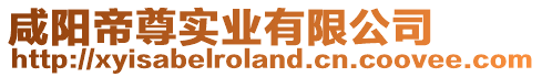 咸陽帝尊實業有限公司