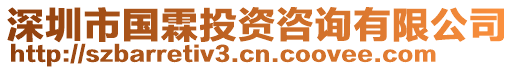 深圳市國霖投資咨詢有限公司