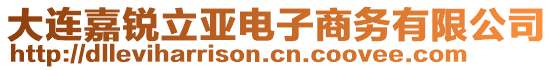 大連嘉銳立亞電子商務有限公司