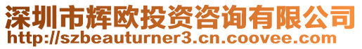 深圳市輝歐投資咨詢有限公司