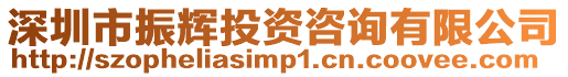 深圳市振輝投資咨詢有限公司