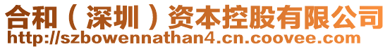合和(深圳)資本控股有限公司