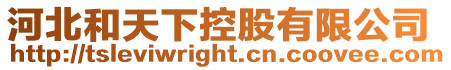 河北和天下控股有限公司