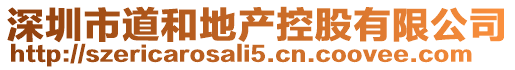深圳市道和地產(chǎn)控股有限公司