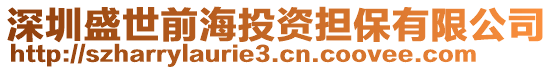 深圳盛世前海投資擔保有限公司