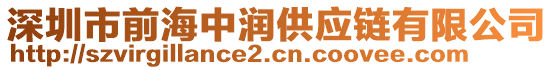 深圳市前海中潤供應鏈有限公司