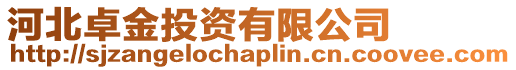河北卓金投資有限公司