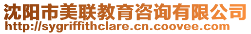 沈陽市美聯教育咨詢有限公司