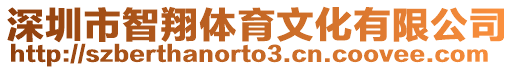 深圳市智翔體育文化有限公司