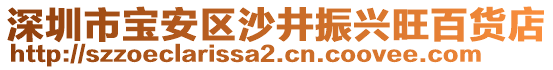 深圳市寶安區(qū)沙井振興旺百貨店