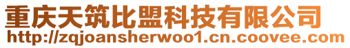 重慶天筑比盟科技有限公司