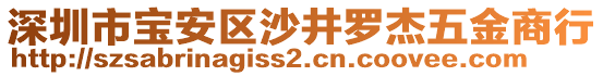 深圳市寶安區沙井羅杰五金商行
