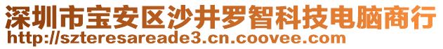 深圳市寶安區(qū)沙井羅智科技電腦商行