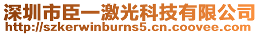 深圳市臣一激光科技有限公司