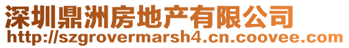 深圳鼎洲房地產有限公司