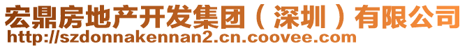 宏鼎房地產(chǎn)開發(fā)集團(tuán)(深圳)有限公司