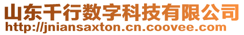 山東千行數(shù)字科技有限公司