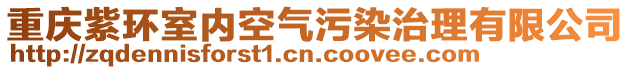 重慶紫環室內空氣污染治理有限公司
