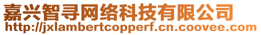 嘉興智尋網絡科技有限公司