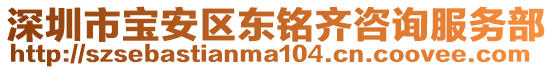 深圳市寶安區(qū)東銘齊咨詢服務(wù)部