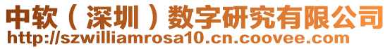 中軟（深圳）數(shù)字研究有限公司