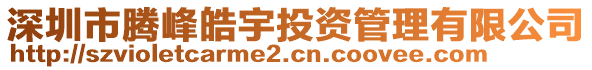 深圳市騰峰皓宇投資管理有限公司