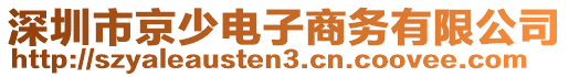 深圳市京少電子商務(wù)有限公司