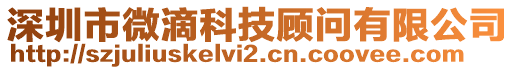 深圳市微滴科技顧問有限公司