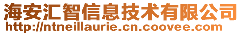 海安匯智信息技術(shù)有限公司