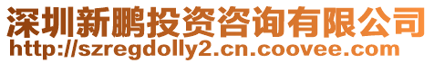 深圳新鵬投資咨詢有限公司