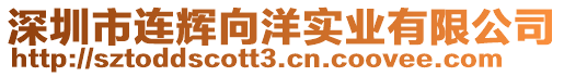 深圳市連輝向洋實業(yè)有限公司