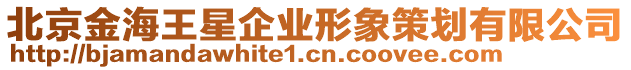 北京金海王星企業(yè)形象策劃有限公司