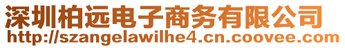 深圳柏遠(yuǎn)電子商務(wù)有限公司