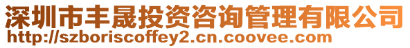 深圳市豐晟投資咨詢管理有限公司
