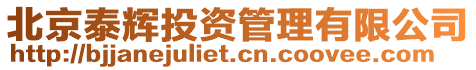 北京泰輝投資管理有限公司