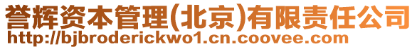 譽(yù)輝資本管理(北京)有限責(zé)任公司