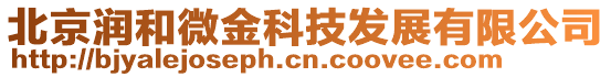 北京潤和微金科技發(fā)展有限公司