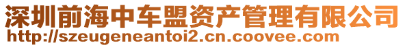 深圳前海中車盟資產管理有限公司