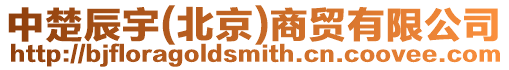 中楚辰宇(北京)商貿(mào)有限公司