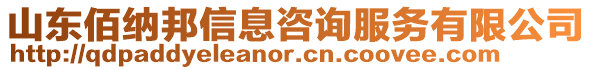 山东佰纳邦信息咨询服务有限公司