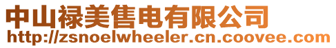中山禄美售电有限公司